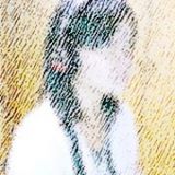 photohayamoni
